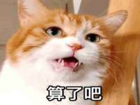 苏州墨哲根商贸有限公司
