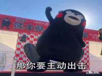 苏州墨哲根商贸有限公司