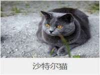 苏州墨哲根商贸有限公司