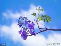 苏州墨哲根商贸有限公司