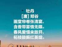 苏州墨哲根商贸有限公司