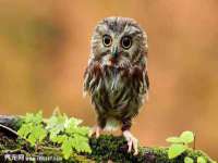 苏州墨哲根商贸有限公司