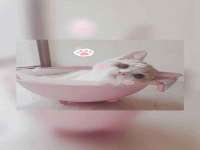 苏州墨哲根商贸有限公司
