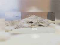 苏州墨哲根商贸有限公司