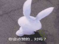 苏州墨哲根商贸有限公司