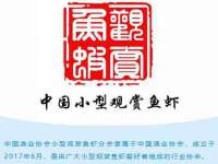 苏州墨哲根商贸有限公司