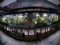 苏州墨哲根商贸有限公司