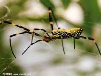 苏州墨哲根商贸有限公司