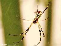 苏州墨哲根商贸有限公司