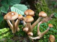 苏州墨哲根商贸有限公司