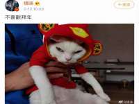 苏州墨哲根商贸有限公司