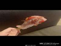 苏州墨哲根商贸有限公司